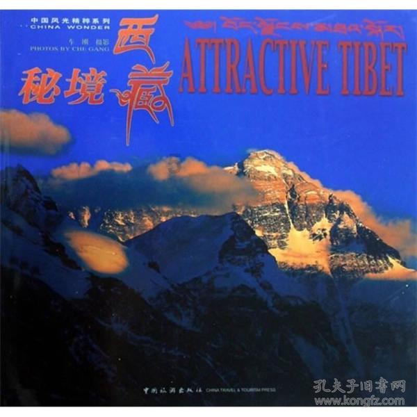 苹果菠萝笔3