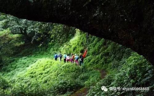 海王星VS僵尸军团