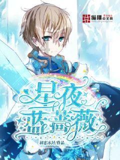 新高达破坏者
